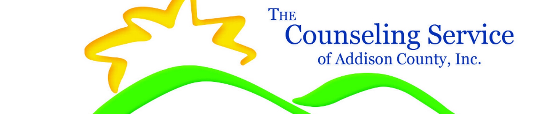 Company banner showing Visual Corporation branding