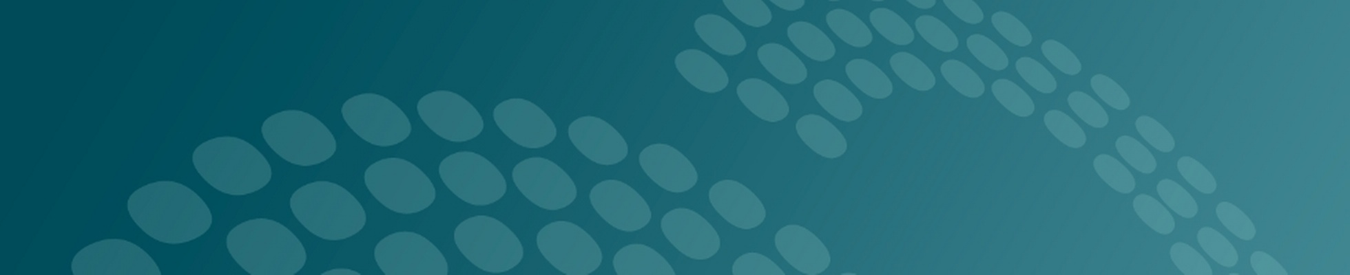 Company banner showing Visual Corporation branding