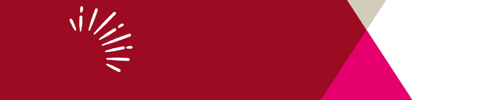 TJX Europe logo