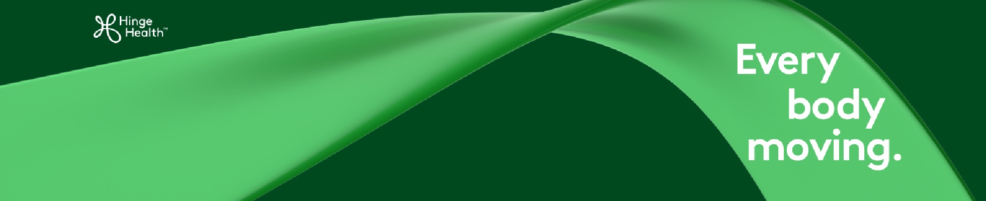 Company banner showing Visual Corporation branding