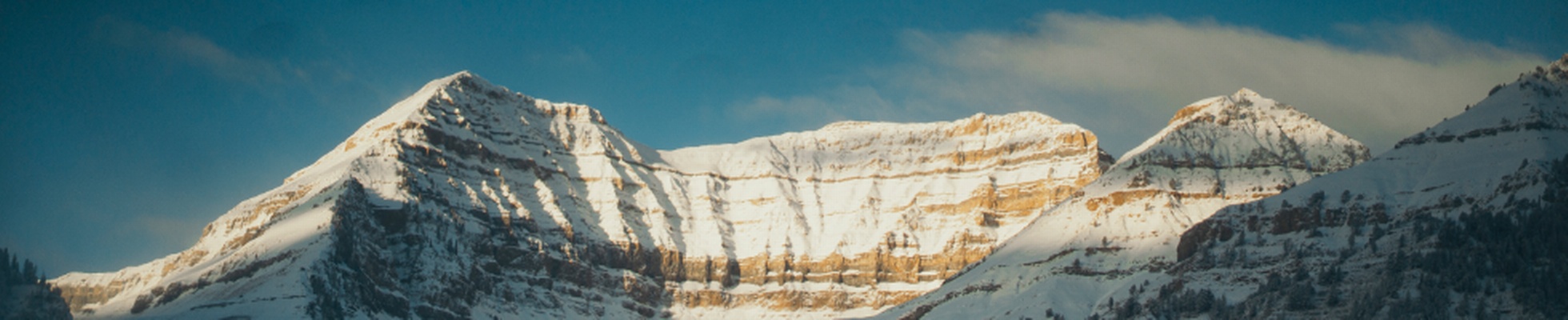 Company banner showing Visual Corporation branding