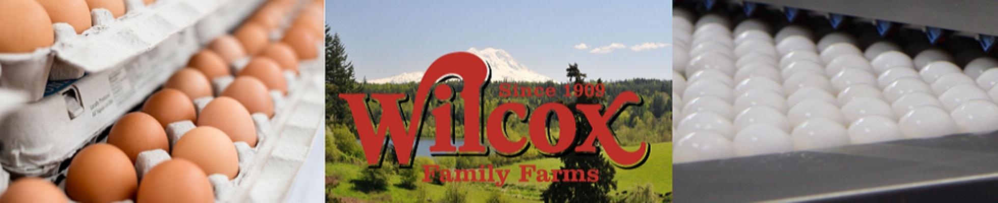Company banner showing Visual Corporation branding