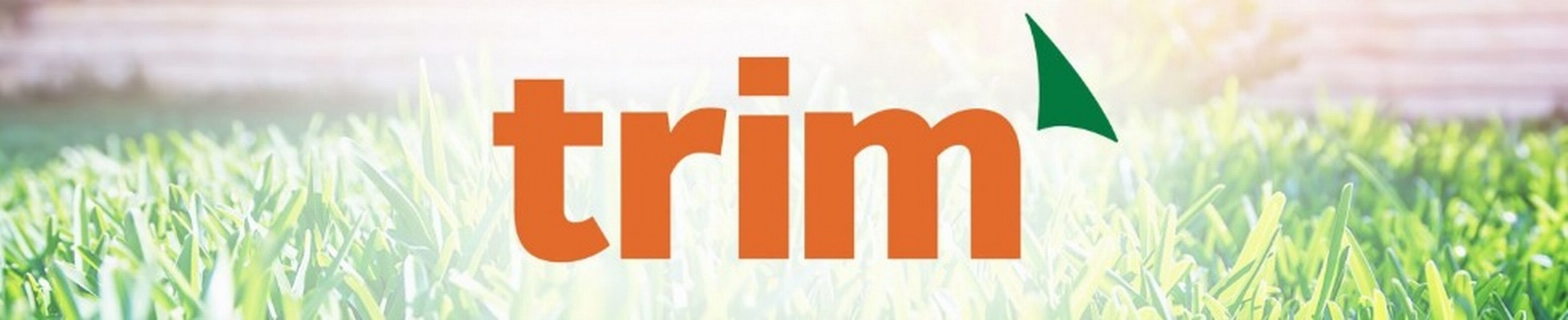 Company banner showing Visual Corporation branding