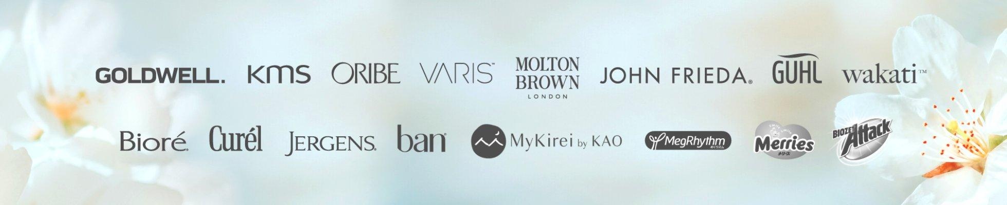 Company banner showing Visual Corporation branding