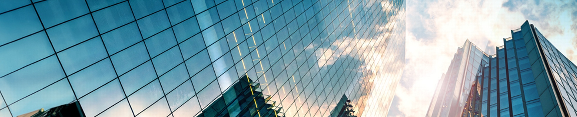 Company banner showing Visual Corporation branding