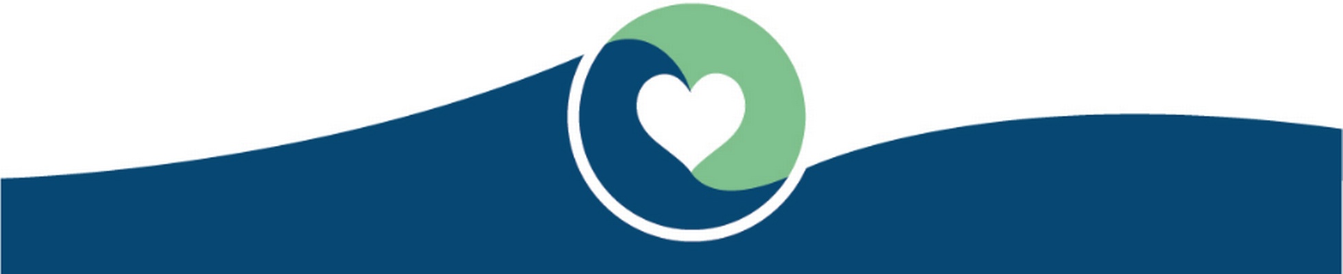 Company banner showing Visual Corporation branding