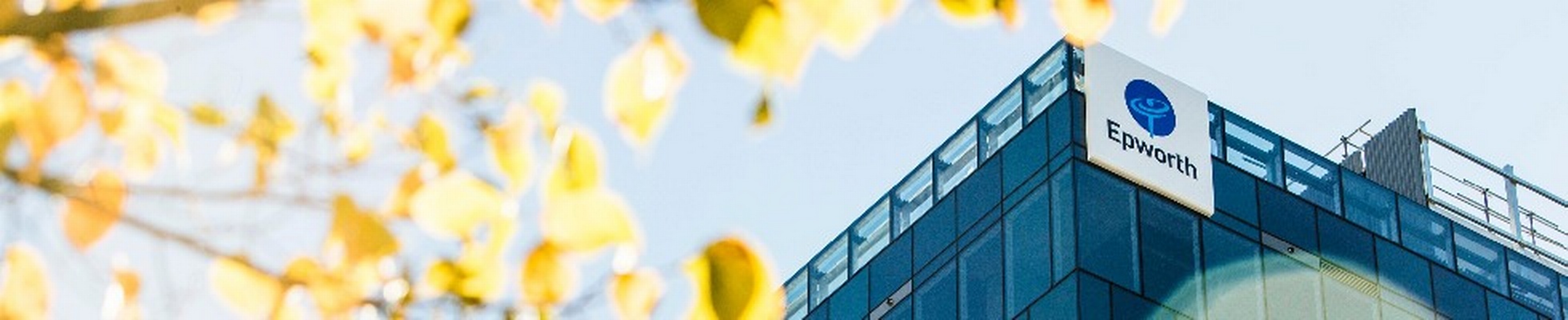 Company banner showing Visual Corporation branding