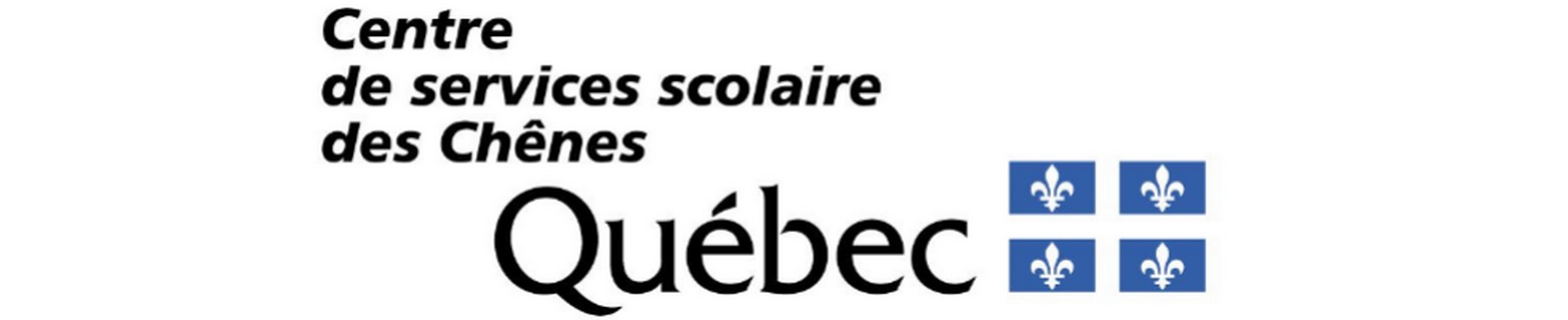 Company banner showing Visual Corporation branding
