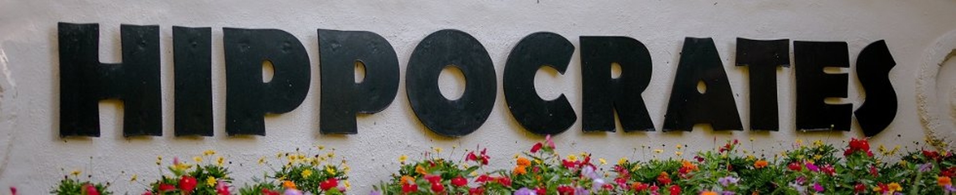 Company banner showing Visual Corporation branding
