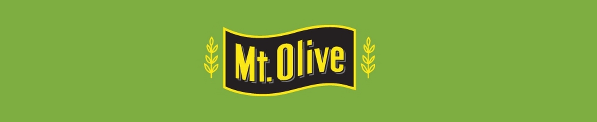 Company banner showing Visual Corporation branding