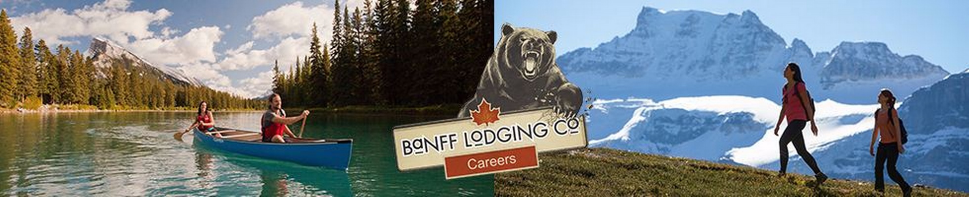Company banner showing Visual Corporation branding