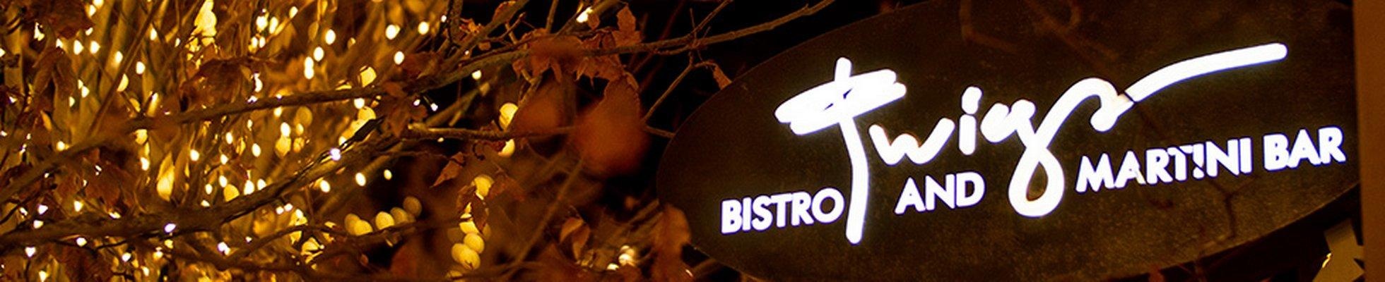 Company banner showing Visual Corporation branding