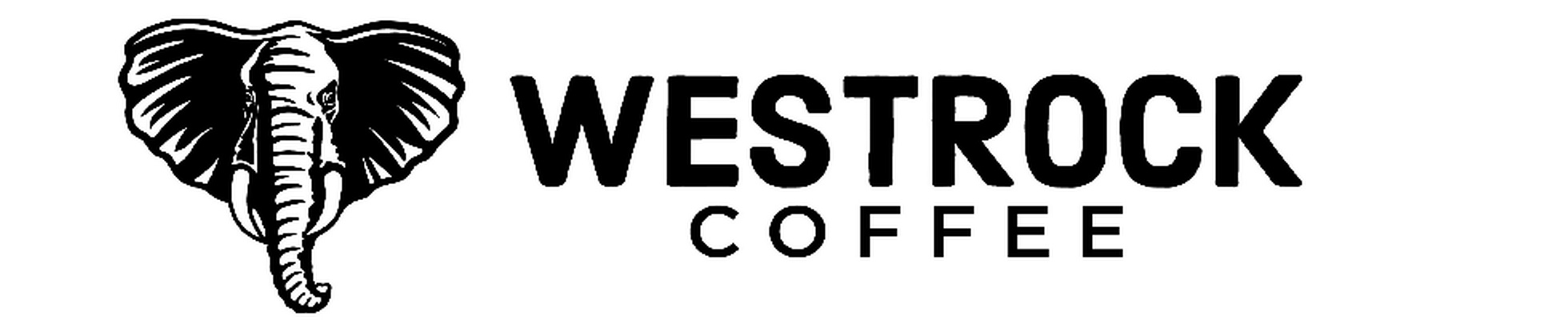 Company banner showing Visual Corporation branding