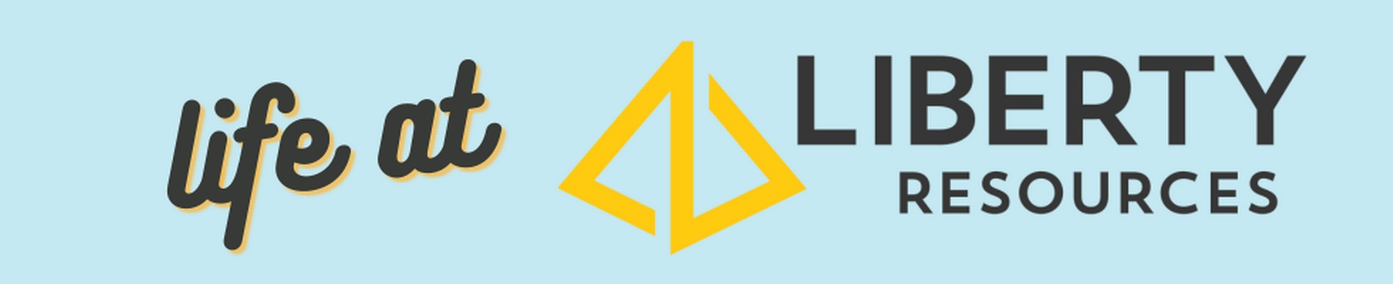 Company banner showing Visual Corporation branding