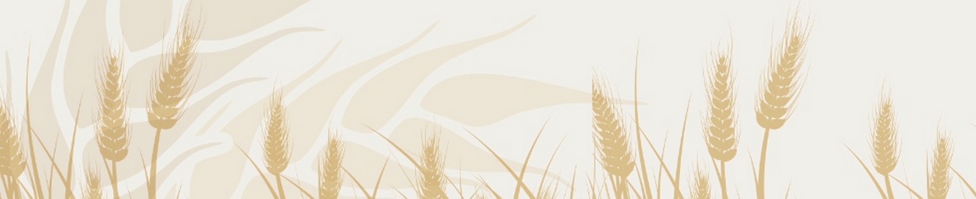 Company banner showing Visual Corporation branding