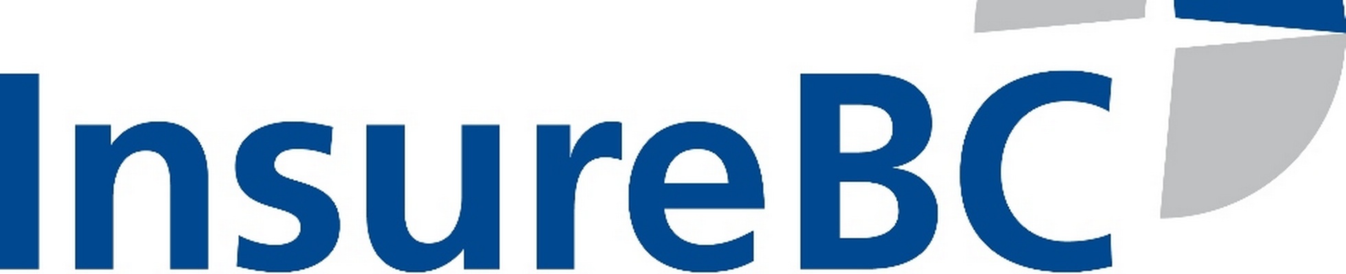 Company banner showing Visual Corporation branding