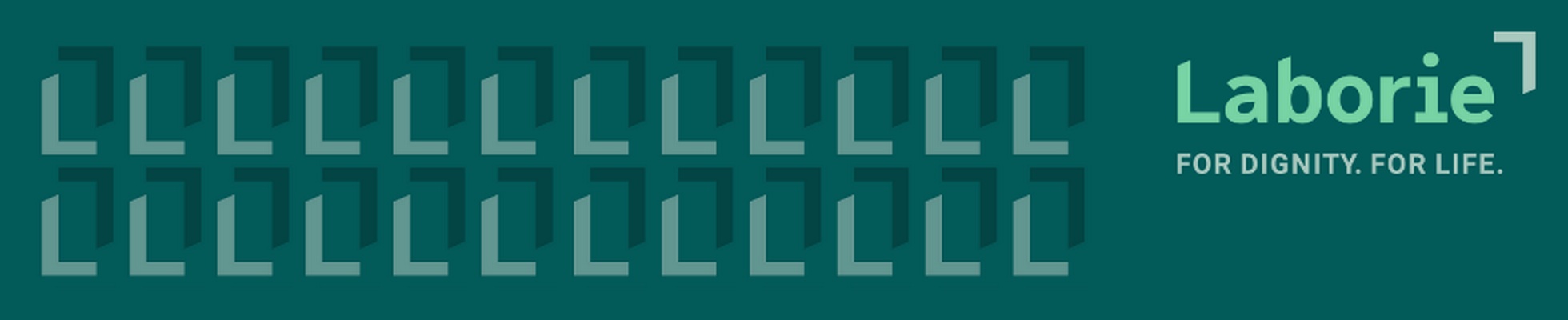 Company banner showing Visual Corporation branding