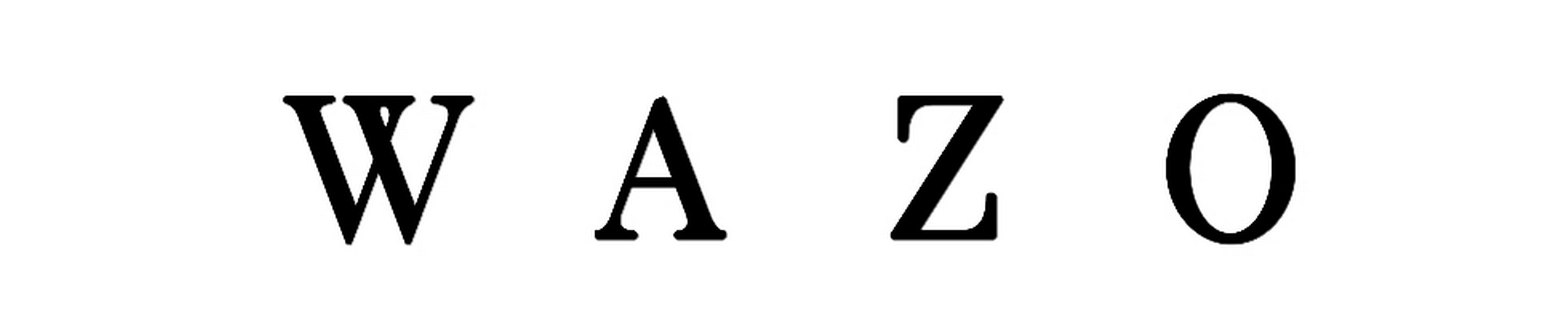Company banner showing Visual Corporation branding