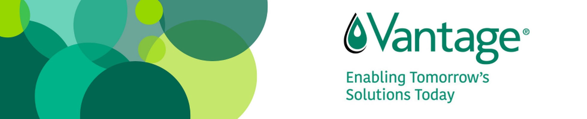 Company banner showing Visual Corporation branding