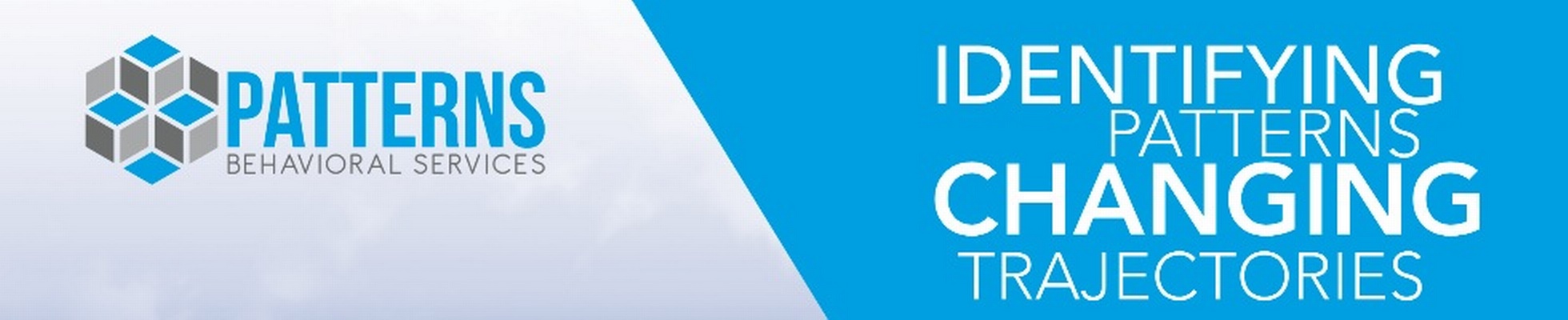 Company banner showing Visual Corporation branding
