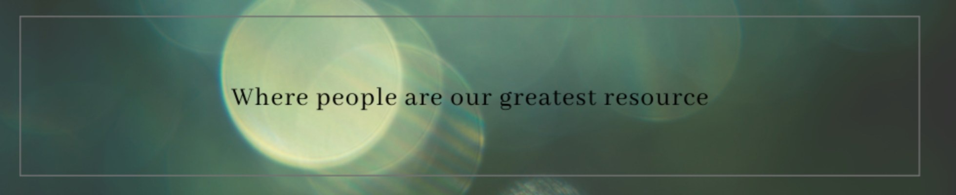 Company banner showing Visual Corporation branding