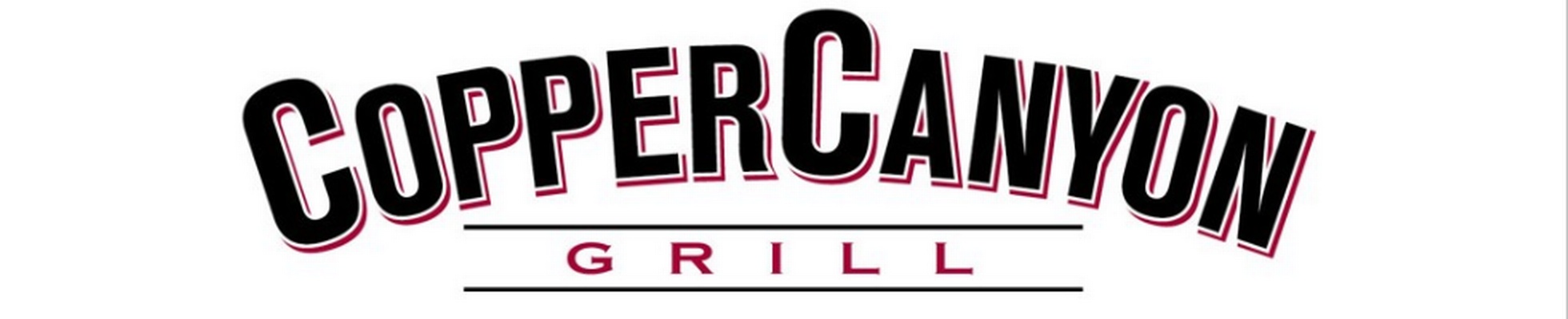 Company banner showing Visual Corporation branding