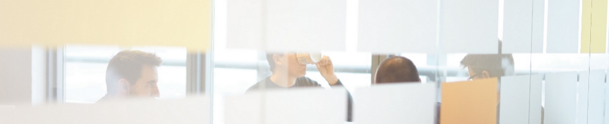 Company banner showing Visual Corporation branding