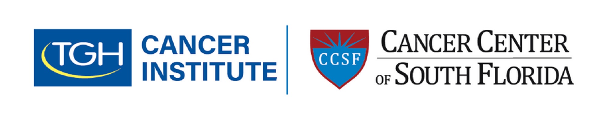 Company banner showing Visual Corporation branding
