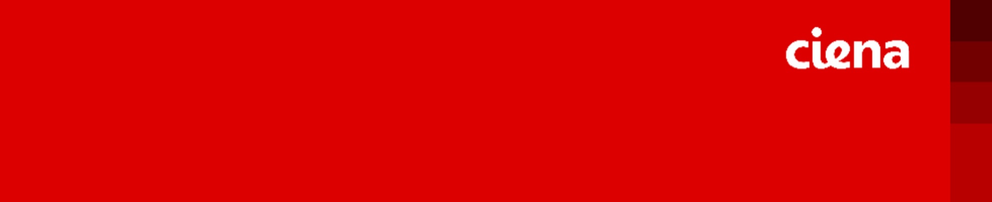 Company banner showing Visual Corporation branding
