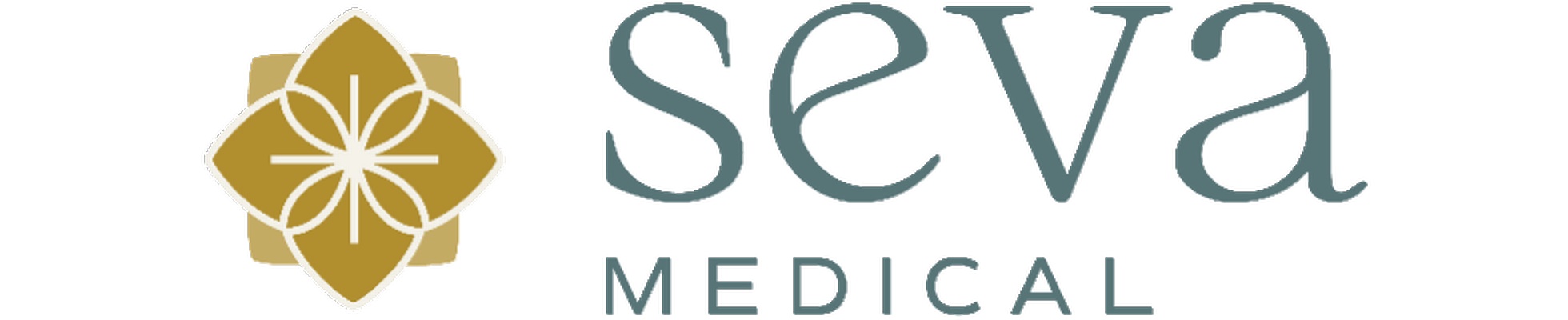 Company banner showing Visual Corporation branding