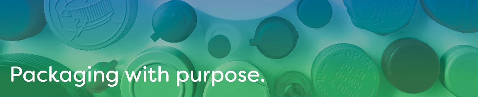 Company banner showing Visual Corporation branding