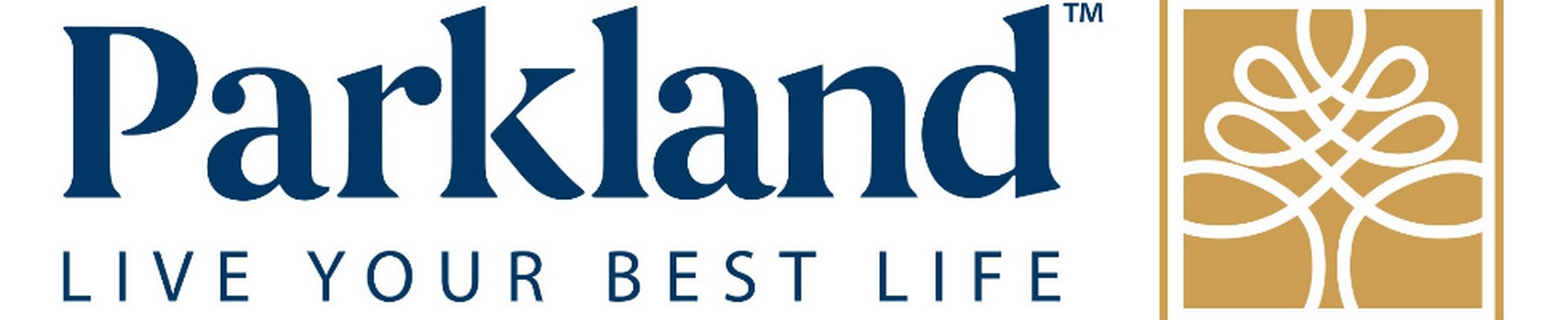 Company banner showing Visual Corporation branding
