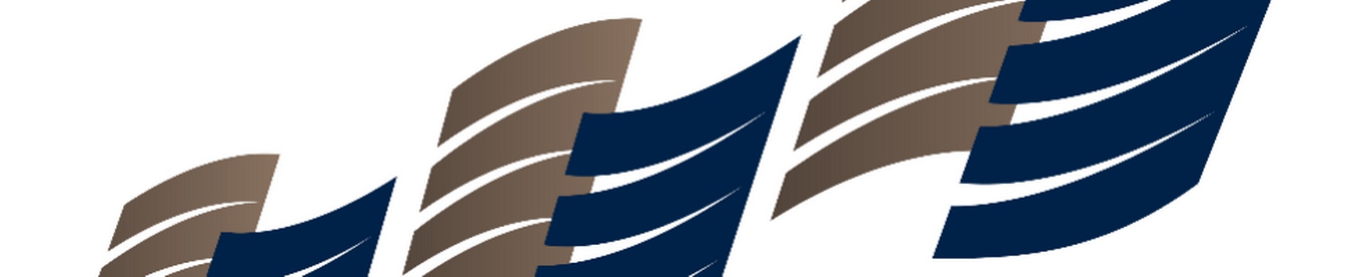 Company banner showing Visual Corporation branding