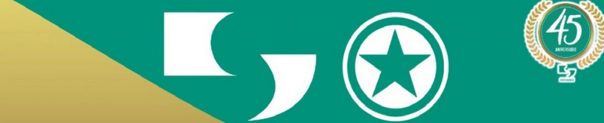 Company banner showing Visual Corporation branding