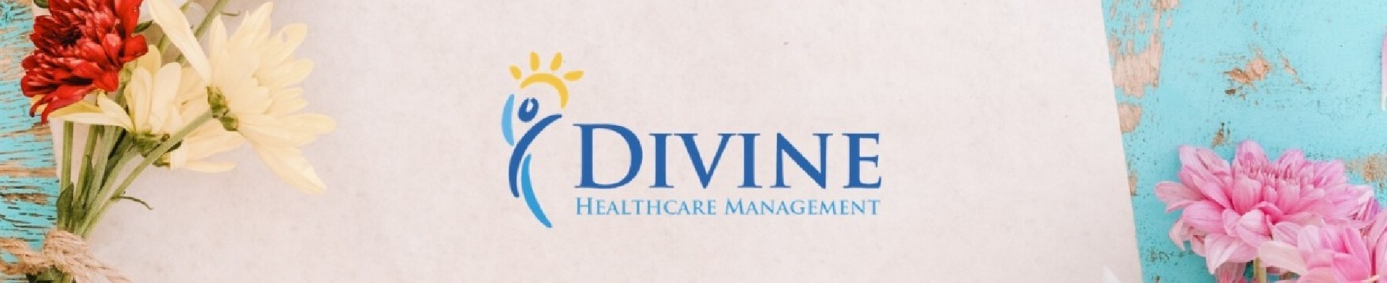 Company banner showing Visual Corporation branding
