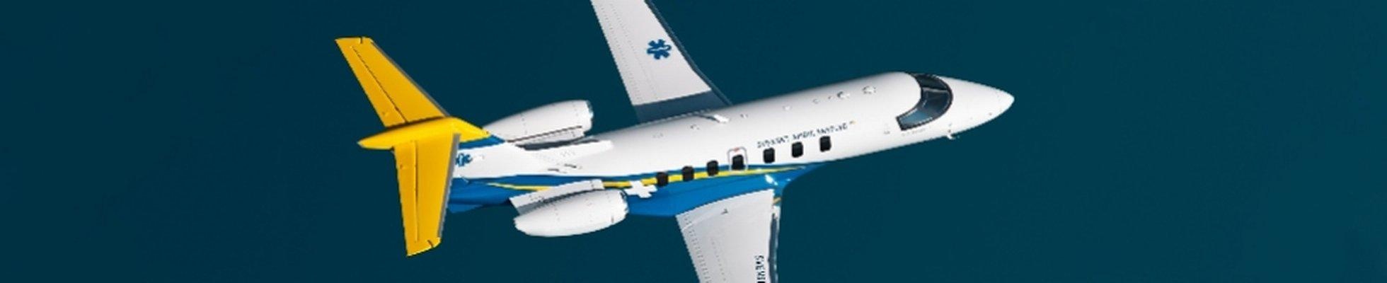 Pilatus Aircraft Ltd logo
