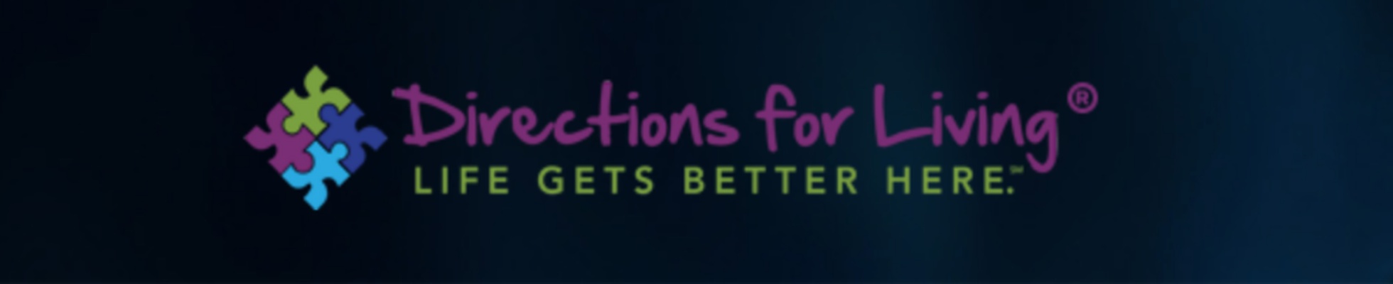 Company banner showing Visual Corporation branding