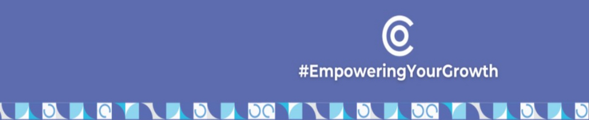 Company banner showing Visual Corporation branding