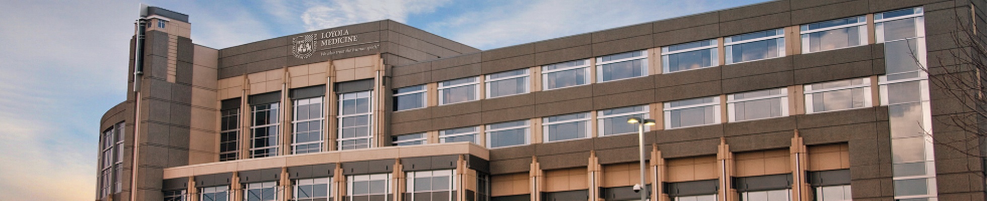 Company banner showing Visual Corporation branding