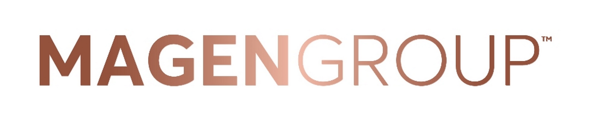 Company banner showing Visual Corporation branding