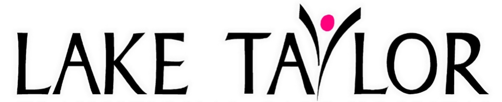 Company banner showing Visual Corporation branding