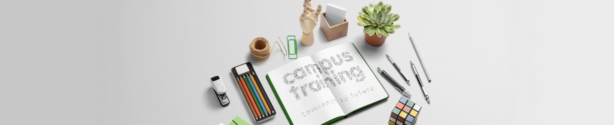 Company banner showing Visual Corporation branding
