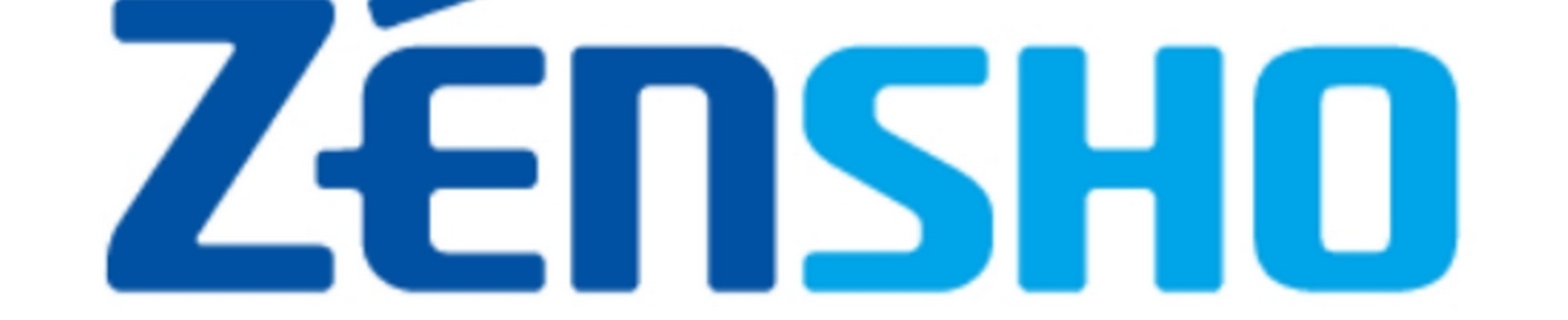 Company banner showing Visual Corporation branding