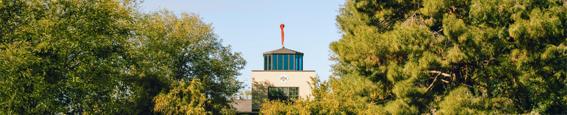 Company banner showing Visual Corporation branding