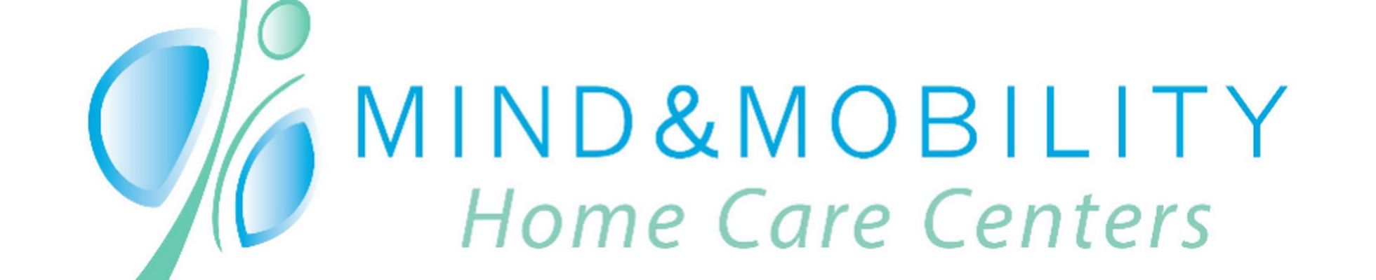 Company banner showing Visual Corporation branding