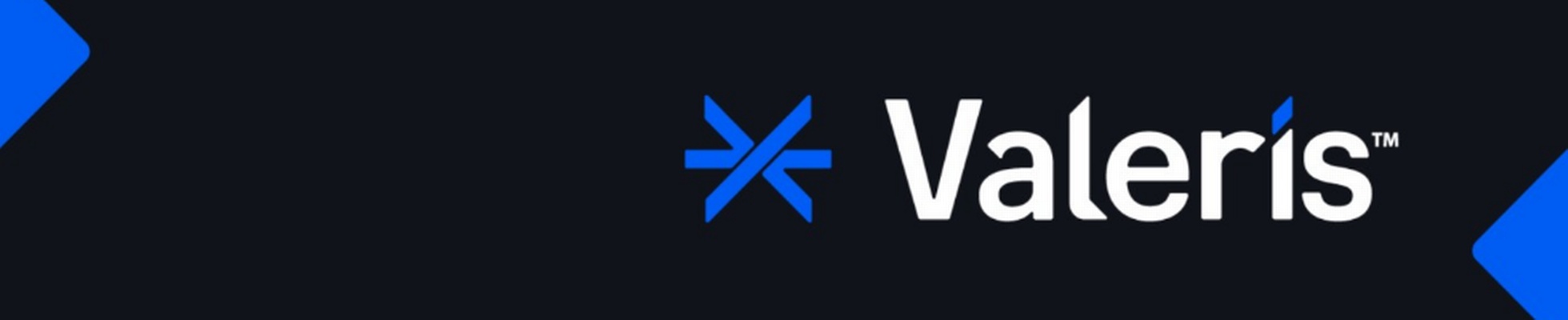 Company banner showing Visual Corporation branding