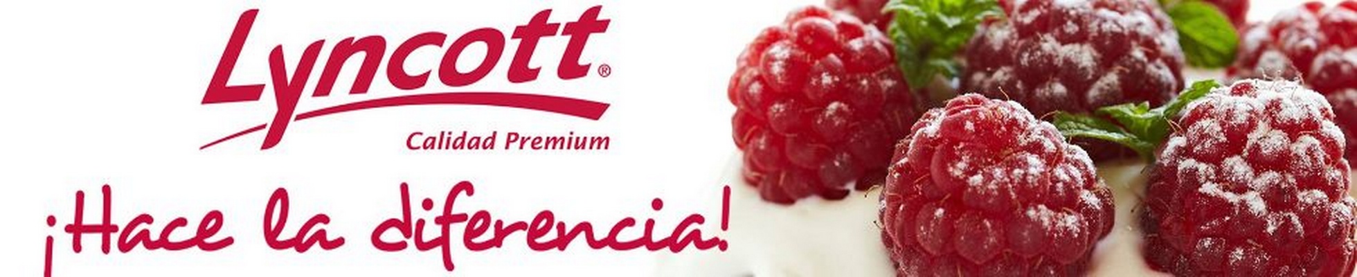 Company banner showing Visual Corporation branding