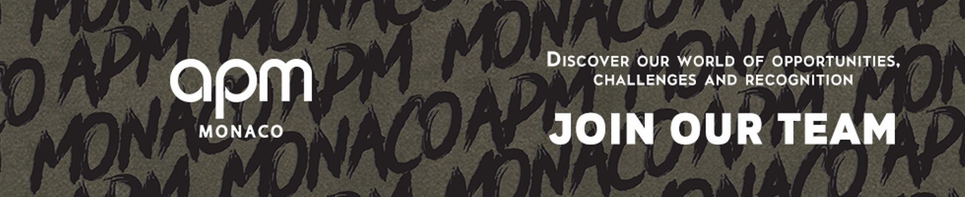 Company banner showing Visual Corporation branding