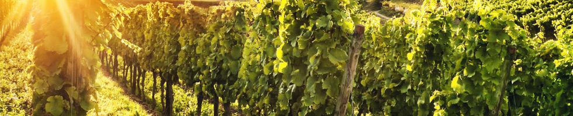 Personal Financial Services Loss - Ec68609ecb7846890359fdea03f53296