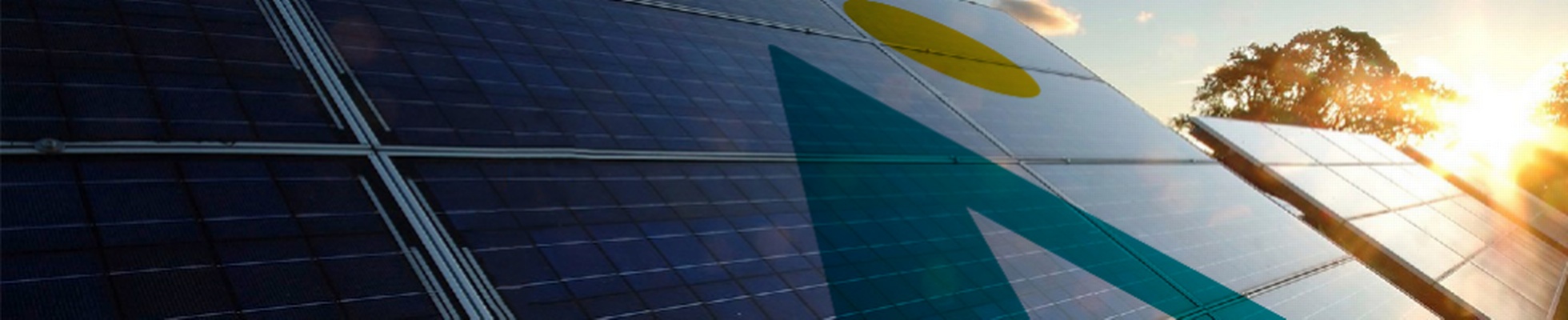 Company banner showing Visual Corporation branding